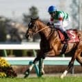 【中山記念】レーベンスティールが貫禄の重賞5勝目