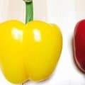 知ったら買いたくなる！赤パプリカが超使える理由