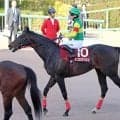 【中山記念】２番人気エコロヴァルツは３着で初タイトル逃す　横山武史騎手「距離も１ハロン延びた方がいい」