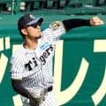 阪神・伊藤将　３日・侍ジャパン戦で先発　大谷翔平らメジャー組出る絶好機「結果にこだわる」