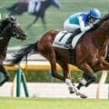 弥生賞、フィリーズレビューなど3重賞/今週の競馬界の見どころ