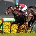 【先週のJRA抹消馬】22年のニュージーランドT覇者ジャングロ、JRA最後のゴールドアリュール産駒ヤウガウなど