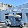 大人気だワン！インスタフォロワー１０万人超の看板犬「ぱんちゃん」ラッピングのペットトリミングワゴン登場　飼い主はＪ２藤枝・槙野智章監督