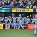 「練習試合なのに…」　平日お昼の阪神戦、米国記者が受けた衝撃「シーズン真っただ中」