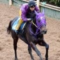 【注目馬動向】オーシャンＳで重賞初制覇のペアポルックスは引き続き岩田康誠騎手で高松宮記念へ
