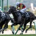 【中山牝馬S予想オッズ】アンゴラブラックが予想1番人気