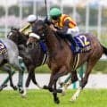 【中山牝馬S】24年桜花賞馬のステレンボッシュ 17年ぶりのGI馬の戴冠なるか