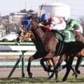 ２４年の中山牝馬Ｓを勝ったコンクシェルが競走馬登録を抹消　今後はノースヒルズで繁殖牝馬に
