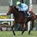 【中山牝馬S出走馬・騎手確定】パラディレーヌ＆岩田望来騎手、ボンドガール＆岩田康誠騎手など16頭