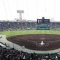 センバツ大会期間のSNSモニタリング調査実施へ　誹謗中傷対策で