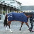 【報知杯ＦＲ】「この馬の調整方法をつかんできました」と陣営　メンバー唯一オープン勝ち馬コラルリーフが報知杯連勝目指す　