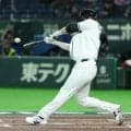 【WBC】チェコ、大番狂わせへ先制！台湾下したオーストラリア相手に２回までリード