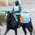【中山牝馬Ｓ】重賞で連続２着中アンゴラブラックが重賞初Ｖへ　尾関調教師「高い状態でキープできています。条件は合う」