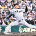 【阪神】岩崎優、今春初の甲子園登板１回０封「けがなく終われたらいい」実戦２試合連続無失点