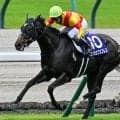 今週の武豊騎手は11鞍 エリカエクスプレスで中山牝馬Sの4勝目なるか