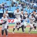 8日に東京都春季大会の抽選会！堀越、日大豊山、雪谷などが1次予選からスタート【26年春高校野球】
