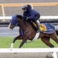 土曜中山競馬場の注目激走馬…中山１１Ｒ中山牝馬ステークス・Ｇ３