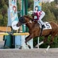 【佐賀競馬】長谷川蓮騎手、地方通算100勝達成