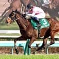【中山牝馬Ｓ】見事な親子Ｖ！武藤雅騎手＆善則調教師がエセルフリーダで重賞制覇　雅騎手はデビュー１０年目で初タイトル