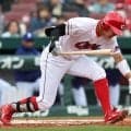 広島　ドラ１・平川が右膝自打球で途中交代　新井監督「もろに当たっていたから代えた」明日以降は腫れ具合見て判断