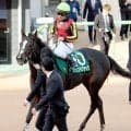 【中山牝馬Ｓ】１番人気のアンゴラブラックはまさかの１３着　戸崎圭太騎手「馬場が悪いところで反応がなかった」