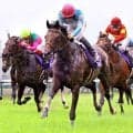 ２０２４年宝塚記念の覇者ブローザホーンが競走馬登録抹消　今後は馬事公苑で乗馬に