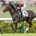 【弥生賞予想】皐月賞と同舞台の前哨戦 二度の急坂を越え大舞台に向かう馬は