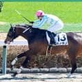 「ガシガシ追われてて...」「名前に反して」容赦ない圧勝劇見せた未勝利馬にネット爆笑　中山３Ｒのホノボノ　　