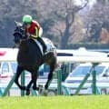 未出走馬が重賞上回るタイムで圧勝「普通にＧ１級じゃね」「バケモンよ」ネットは騒然　中山５Ｒラベルセーヌ