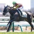 【中山5R結果】初出走のラベルセーヌが5馬身差V 3連単300万超の波乱呼ぶ