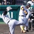 【阪神】開幕カード前哨戦は巨人に軍配　育成の嶋村麟士朗が猛アピールの１発　