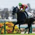 【中山5R】ラベルセーヌが初出走、初勝利！既走馬相手に5馬身差圧勝