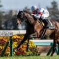 【湾岸S】横山典弘騎手がJRA通算3000勝の大記録達成…マイユニバースで人気に応える