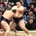 横綱・大の里、昇進後初の黒星スタートに八角理事長「右を差せないとすぐ引いてしまう」