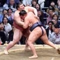 豊昇龍「体の反応が良かった」　難敵・熱海富士を退け、横綱初Ｖへ好発進