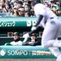 阪神・ドラ１立石　異例ベンチ入り　初甲子園「伝統の一戦」体感　「一日でも早く甲子園でプレーできるように」