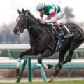 スプリングS、金鯱賞など3重賞/今週の競馬界の見どころ