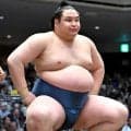 幕内・阿武剋が２日目から休場　初日の一山本戦で左膝から崩れる