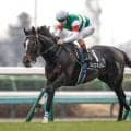 【スプリングS見どころ】初戦の大楽勝ぶりが記憶に蘇るクレパスキュラー