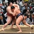 新小結の熱海富士へ　恩師らエール　静岡県出身96年ぶりの三役
