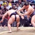 豊昇龍が２連勝　若隆景を送り出して横綱初Ｖへ好スタート