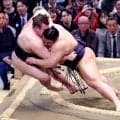 義ノ富士が、綱取りを目指す安青錦に勝つ　過去２勝１敗の相手に快勝「止まるとだめだなと思って攻め続けた」