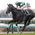 【スプリングS想定騎手】クレパスキュラーはC.ルメール騎手、アスクエジンバラは岩田康誠騎手