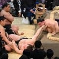 義ノ富士が綱とり安青錦撃破　攻め続け寄り倒し「今場所はガンガン、思い切り」初場所のリベンジ