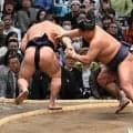 豊昇龍が２連勝　闘牛士のような動きで若隆景を料理「あっ！って思った」と素直な心境も明かす