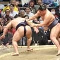 幕内・若隆景は横綱・豊昇龍に敗れるも健闘　３日目は大関・安青錦との取組に「また明日、集中する」