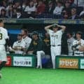 豪州ベンチは涙止まらず　韓国に敗れ1次R敗退決定で…全米ドラ1バザーナもベンチで呆然