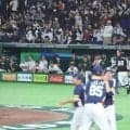 【WBC】残りアウト２つで悪夢…オーストラリア、痛恨失策　８回に適時打のバザナはベンチで涙