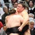 【元大関・琴風の目】義ノ富士は一発屋ではない力士に成長…綱取りの大関・安青錦を撃破