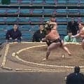 たった“一撃”で…力士が土俵の反対側に吹っ飛ぶ光景に館内どよめき「吹っ飛んだ」「反対側まで」